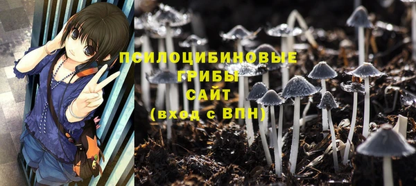 стафф Алексеевка