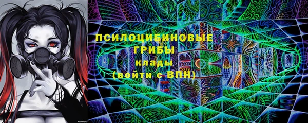 2c-b Алзамай