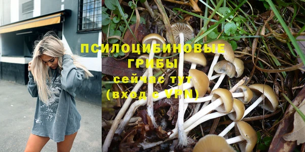 PSILOCYBIN Алексин