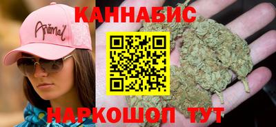 сатива Кингисепп
