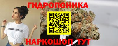 индика Кинель