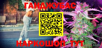 сатива Кингисепп