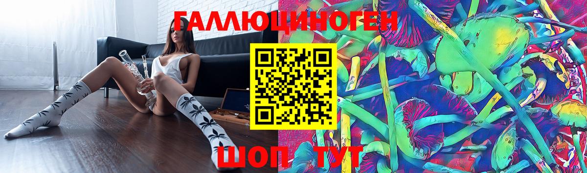 Шуя  Псилоцибиновые грибы Cubensis  Вход с VPN 