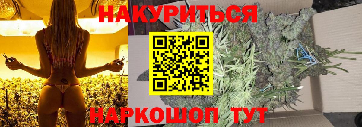 Бошки Шишки гибрид  Конопля сатива  Шуя  Вход с VPN 
